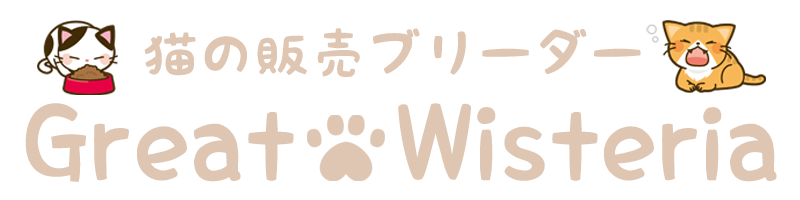 猫販売・猫ブリーダー GreatWisteria 茨城県｜下妻市 子猫販売 / 猫里親 / 猫ブリーダー / 猫購入